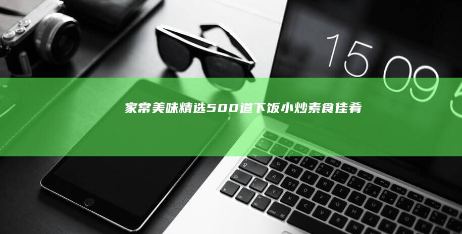 家常美味：精选500道下饭小炒素食佳肴